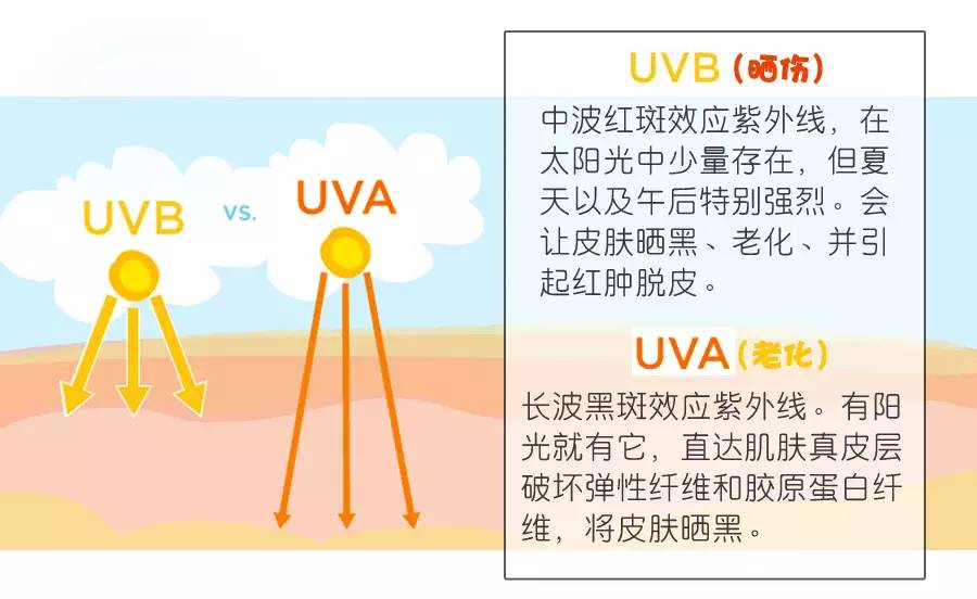 nfc标签有什么用_NFC标签,防伪防拆标签_nfc标签